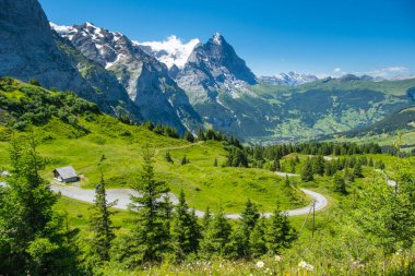 Grindelwald Alp Vadisi manzarası. Jungfrau, İsviçre. Bernese Alpleri 'nin altında. Dağ köyü.