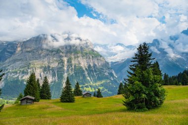 Grindelwald Alp Vadisi manzarası. Jungfrau, İsviçre. Bernese Alpleri 'nin altında. Dağ köyü.
