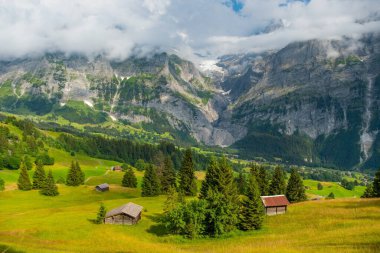 Grindelwald Alp Vadisi manzarası. Jungfrau, İsviçre. Bernese Alpleri 'nin altında. Dağ köyü.