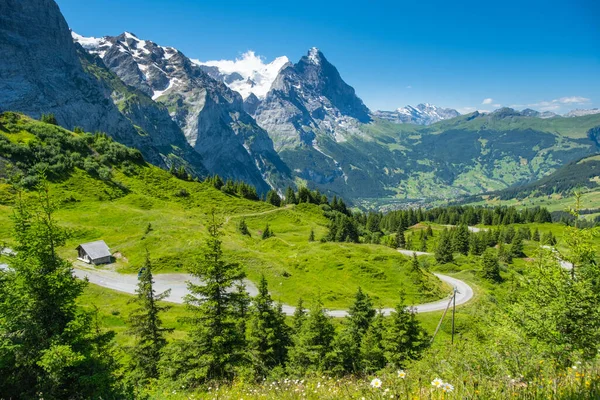 Grindelwald Alp Vadisi manzarası. Jungfrau, İsviçre. Bernese Alpleri 'nin altında. Dağ köyü.