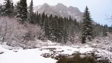 Karlı dağlardaki çam ormanlarının ve derenin sabit görüntüleri. Rüzgarlı bulutlu hava. Slovakya 'daki Tatra dağları.