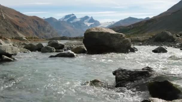 Nahaufnahme Des Fließenden Süßwasserflusses Den Frühlingsbergen — Stockvideo