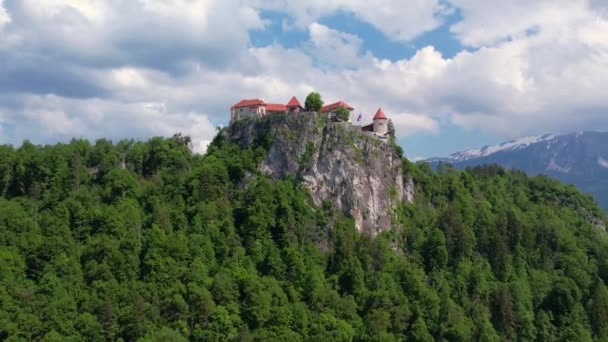 Uçurumun Tepesine Yemyeşil Ağaçlarla Çevrili Bled Kalesi Inşa Edildi Dağ — Stok video