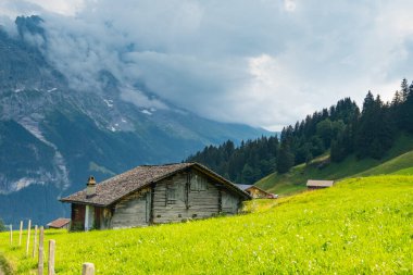 Grindelwald Alp Vadisi manzarası. Jungfrau, İsviçre. Bernese Alpleri 'nin altında. Dağ köyü.
