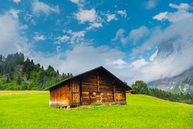 Grindelwald Alp Vadisi manzarası. Jungfrau, İsviçre. Bernese Alpleri 'nin altında. Dağ köyü.
