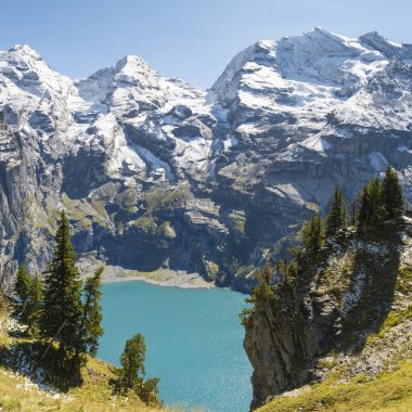 Güneşli yaz gününde Oeschinensee Gölü ve kar Bluemlisalp dağı. Gök mavisi Oeschinensee Gölü Panoraması, İsviçre Alpleri 'nde çam ormanı, Kandersteg. İsviçre.