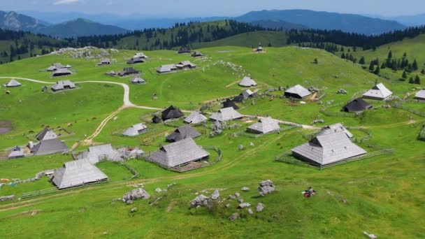Flygfoto Över Den Traditionella Alpina Byn Velika Planina Slovenien Alpernas — Stockvideo