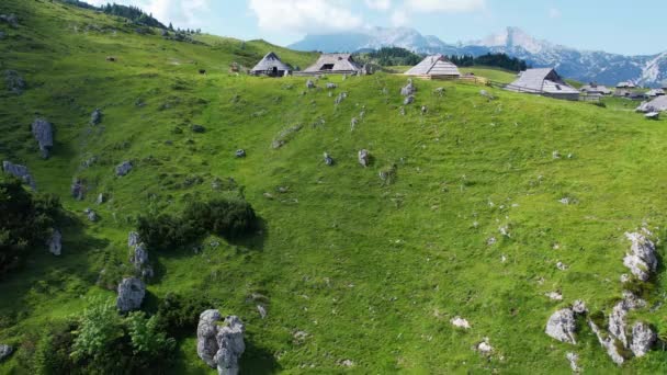 Vista Aérea Tradicional Aldeia Alpina Velika Planina Eslovénia Paisagem Natural — Vídeo de Stock