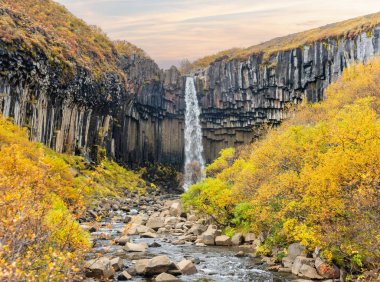 Svartifoss, ünlü Kara Şelale, İzlanda Skaftafel Milli Parkı 'nın popüler turistik mekanı. Sonbahar, Sonbahar