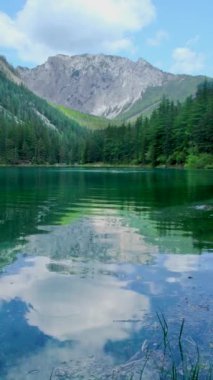 Gruner Bak, ilkbaharda kristal berrak su ile güzel yeşil alp gölü, Gruner See, Styria, Avusturya, Avrupa