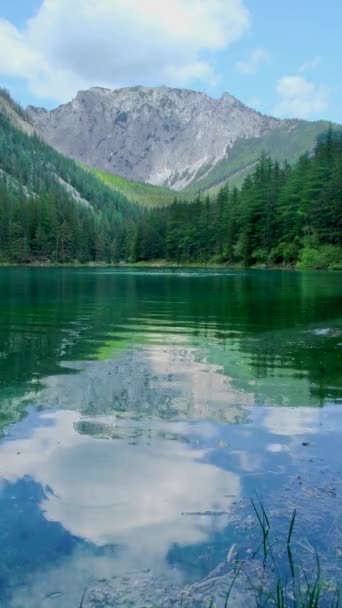 Gruner See Gyönyörű Zöld Alpesi Kristálytiszta Vízzel Tavasszal Gruner See — Stock videók
