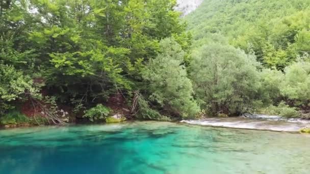 Turkoosi Vedet Joen Oko Skakavice Silmä Heinäsirkka Karst Uppoaa Montenegron — kuvapankkivideo
