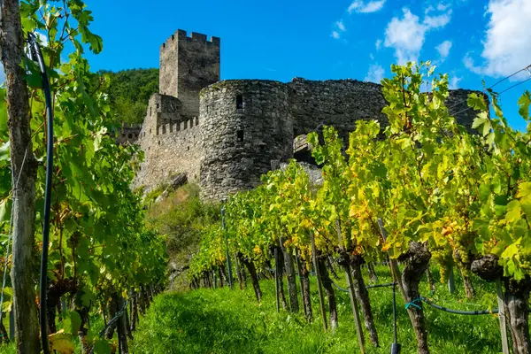 Castelo Hinterhaus Spitz Wachau Áustria Com Rio Danúbio Vinhas Imagens Royalty-Free