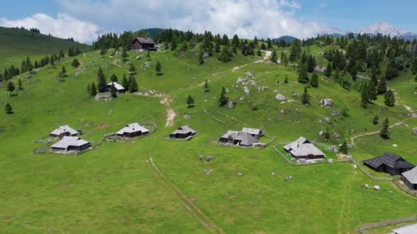 Flygfoto Över Alpin Velika Planina Slovenien Alpernas Naturlandskap Med Historiska — Stockvideo