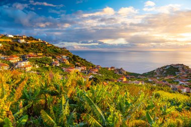 Funchal 'daki geleneksel Madeiran evleri muz çiftliği ve okyanus günbatımının arkasında..