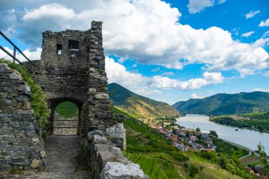 Aşağı Avusturya 'daki Duernstein köyü yakınlarında Tuna Nehri ile Wachau Vadisi' nin Panorama 'sı. Geleneksel şarap ve turizm bölgesi, Tuna gezileri.