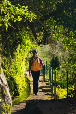 Portekiz 'in Madeira adasında Levada do Norte' de bir turist. Levada sulama kanalı. Madeira 'da yürüyüş. Levada 'nın yanındaki dar yol. Yeşil tropikal bitkiler