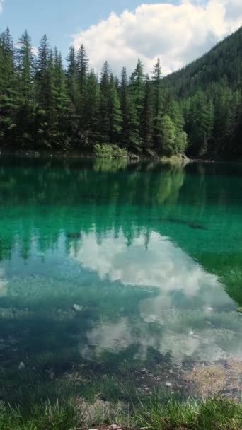 Gruner See Prachtig Groen Alpenmeer Met Kristalhelder Water Het Voorjaar — Stockvideo