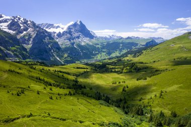 Grindelwald Alp Vadisi manzarası. Jungfrau, İsviçre. Bernese Alpleri 'nin altında. Dağ köyü.