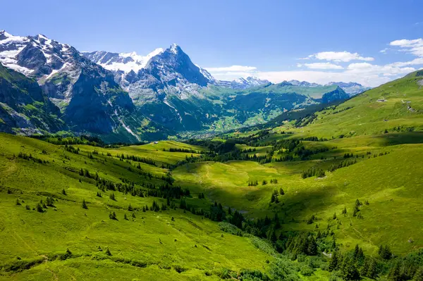 Grindelwald Alp Vadisi manzarası. Jungfrau, İsviçre. Bernese Alpleri 'nin altında. Dağ köyü.