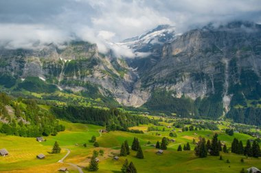 Grindelwald Alp Vadisi manzarası. Jungfrau, İsviçre. Bernese Alpleri 'nin altında. Dağ köyü.