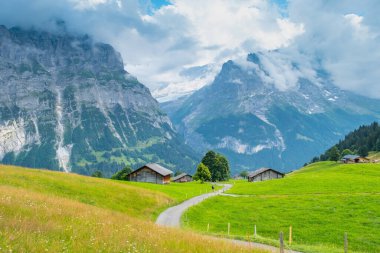 Grindelwald Alp Vadisi manzarası. Jungfrau, İsviçre. Bernese Alpleri 'nin altında. Dağ köyü.
