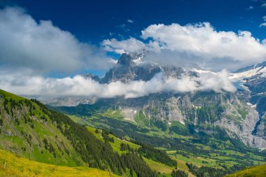 Grindelwald Alp Vadisi manzarası. Jungfrau, İsviçre. Bernese Alpleri 'nin altında. Dağ köyü.