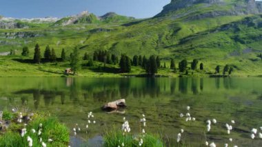 İsviçre 'de berrak, yeşil, sakin bir göl manzarası. Seyahat hedefi ve popüler patika.