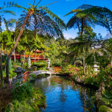 Madeira 'daki Japon Monte Sarayı tropikal bahçesi yeşillik, kırmızı köprüler ve dingin güzellik ve sükunet için bir koi göleti.