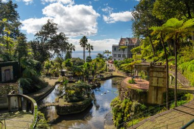Madeira 'daki Funchal' da pitoresk bir Monte Sarayı tropikal bahçesi. Bereketli, canlı yeşillik ve mimari yapılarla çevrili yansıtıcı gölet