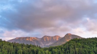 Alatsee, Bavyera, Almanya 'daki Alatsee dağının batışı. Vahşi doğa ve çam ormanı. Hızlı bulut hareketi.