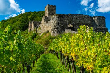 Tuna nehri ve üzüm bağlarıyla Spitz Vachau Avusturya 'daki Hinterhaus Kalesi
