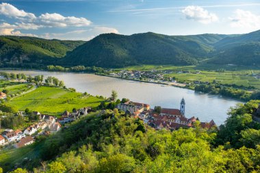 Aşağı Avusturya 'daki Duernstein köyü yakınlarında Tuna Nehri ile Wachau Vadisi' nin Panorama 'sı. Geleneksel şarap ve turizm bölgesi, Tuna gezileri.