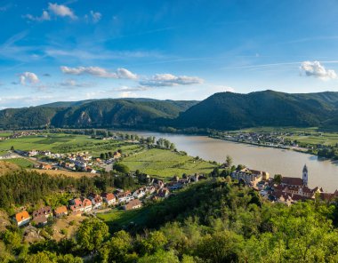 Aşağı Avusturya 'daki Duernstein köyü yakınlarında Tuna Nehri ile Wachau Vadisi' nin Panorama 'sı. Geleneksel şarap ve turizm bölgesi, Tuna gezileri.