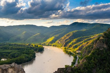 Aşağı Avusturya 'daki Duernstein köyü yakınlarında Tuna Nehri ile Wachau Vadisi' nin Panorama 'sı. Geleneksel şarap ve turizm bölgesi, Tuna gezileri.