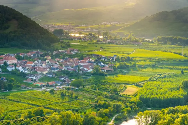 stock image Vineyards and Donau river in Wachau valley Austria with autumn colored leaves small traditional village on sunny day. Traditional wine and tourism region,