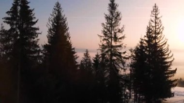 Karpatya dağlarının üzerindeki sis ve bulutlara insansız hava aracı görüntüsü. Güneşli kış, dondurucu soğuk.