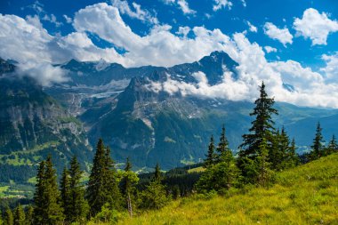Grindelwald Alp Vadisi manzarası. Jungfrau, İsviçre. Bernese Alpleri 'nin altında. Dağ köyü.