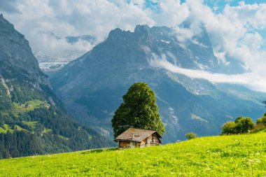 Grindelwald Alp Vadisi manzarası. Jungfrau, İsviçre. Bernese Alpleri 'nin altında. Dağ köyü.