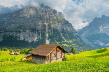 Grindelwald Alp Vadisi manzarası. Jungfrau, İsviçre. Bernese Alpleri 'nin altında. Dağ köyü.