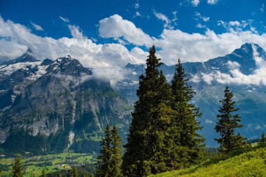 Grindelwald Alp Vadisi manzarası. Jungfrau, İsviçre. Bernese Alpleri 'nin altında. Dağ köyü.