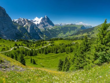 Grindelwald Alp Vadisi manzarası. Jungfrau, İsviçre. Bernese Alpleri 'nin altında. Dağ köyü.