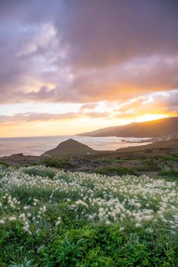 Ponta de Sao Lourenco yarımadasında gün batımı. Önünde güzel çiçekler var. Madeira Adası Portekiz.