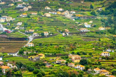 Geleneksel teras köyü Sao Vicente, Madeira Adası, Portekiz. Fırtınalı havada yeşil bir dağ manzarası arasında küçük evler ve bahçeler.