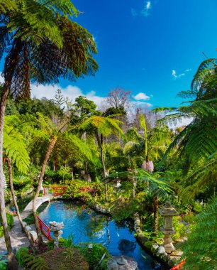 Madeira 'daki Japon Monte Sarayı tropikal bahçesi yeşillik, kırmızı köprüler ve dingin güzellik ve sükunet için bir koi göleti.