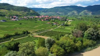 Vachau Vadisi 'ndeki üzüm bağları ve Donau nehri sonbahar renkli yapraklar, küçük geleneksel köy ve güneşli bir günde tekneler. Geleneksel şarap ve turizm bölgesi,
