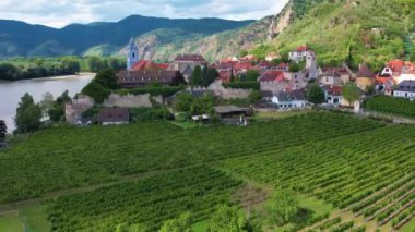 Aşağı Avusturya 'daki Spitz köyü yakınlarında Tuna Nehri ile Wachau Vadisi' nin Hava Panorama 'sı. Geleneksel şarap ve turizm bölgesi, Tuna gezileri.
