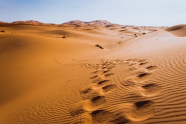 Sahra Çölü Fas Merzouga dunes görkemli güzel sahne.