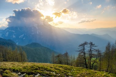 Alpler 'de yeşil çayırlar, çam ormanı ve arka planda dağ tepeleri olan Idyllic manzarası