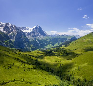 Grindelwald Alp Vadisi manzarası. Jungfrau, İsviçre. Bernese Alpleri 'nin altında. Dağ köyü.